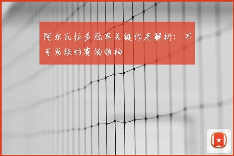 阿尔瓦拉多冠军关键作用解析:不可或缺的赛场领袖
